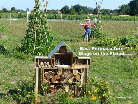 permaculture blogs.